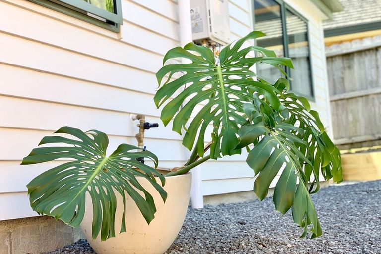 Photo of property in 11 San Ambrosio Rise, Henderson, Auckland, 0612