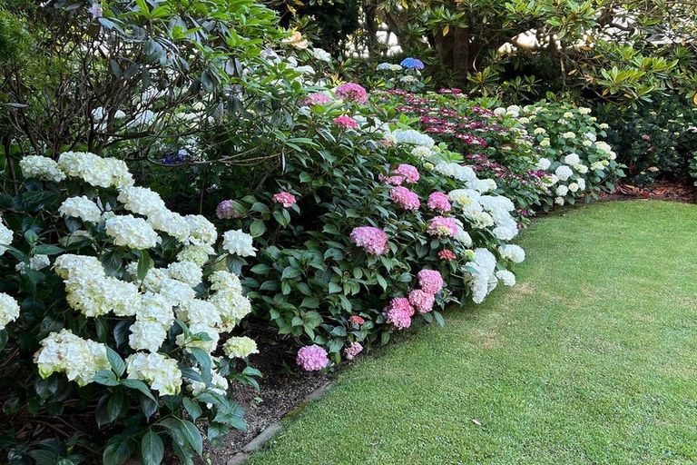 Photo of property in 16 Fairfield Road, Hawera, 4610