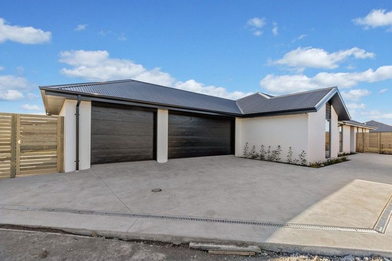 Photo of property in 58d Ashbury Drive, Tinwald, 7774