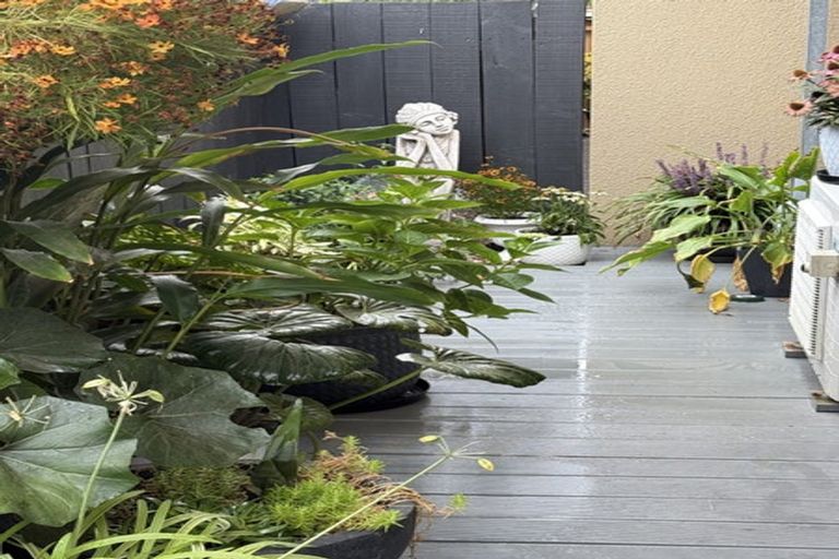 Photo of property in 438f Tristram Street, Whitiora, Hamilton, 3200