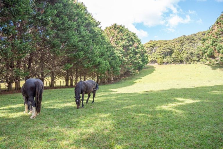 Photo of property in 697 Kohumaru Road, Mangonui, 0494