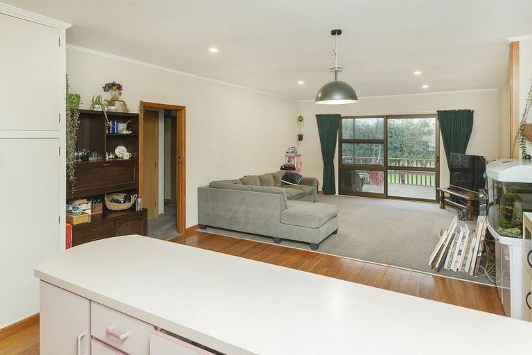 Photo of property in 119 Whakato Road, Manutuke, 4072