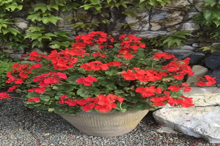 Photo of property in 73 Valerie Close, Warkworth, 0983