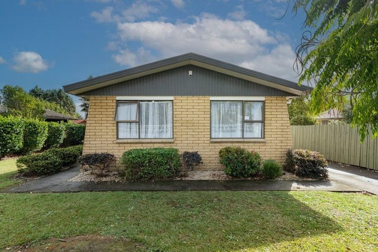 Photo of property in 41 Winstone Avenue, Chartwell, Hamilton, 3210