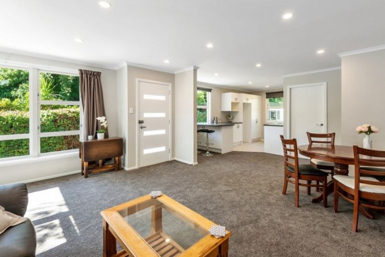 Photo of property in 46a Palatine Terrace, Saint Martins, Christchurch, 8022