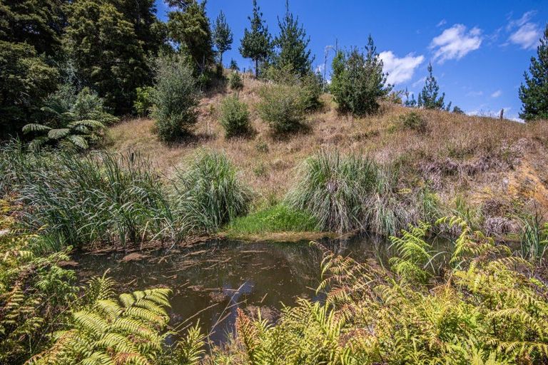 Photo of property in 144 Tahere Road, Whareora, Whangarei, 0175