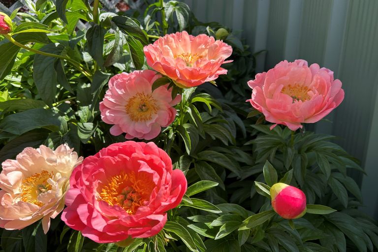 Photo of property in 2/14 Bantry Street, Alexandra, 9320