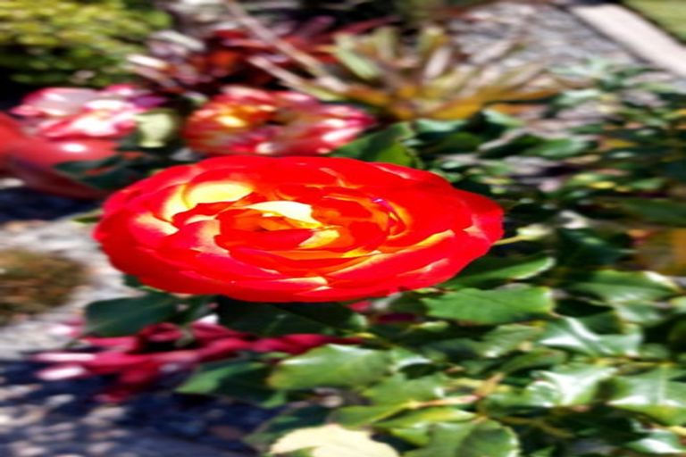 Photo of property in 5 Havenbrook Way, Pyes Pa, Tauranga, 3112