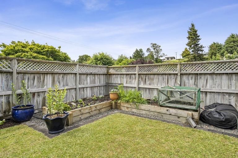 Photo of property in 5 Bronte Place, Leamington, Cambridge, 3432