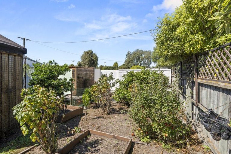 Photo of property in 16 Gilbert Street, Amberley, 7410