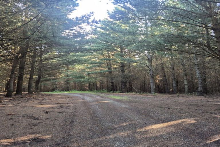 Photo of property in 4894 Hampden-palmerston Road, Shag Point, Palmerston, 9482