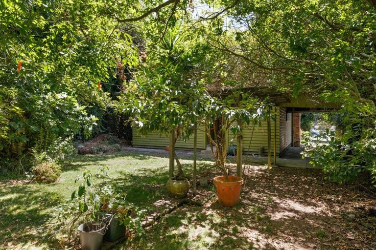 Photo of property in 44 Beatty Street, Melville, Hamilton, 3206