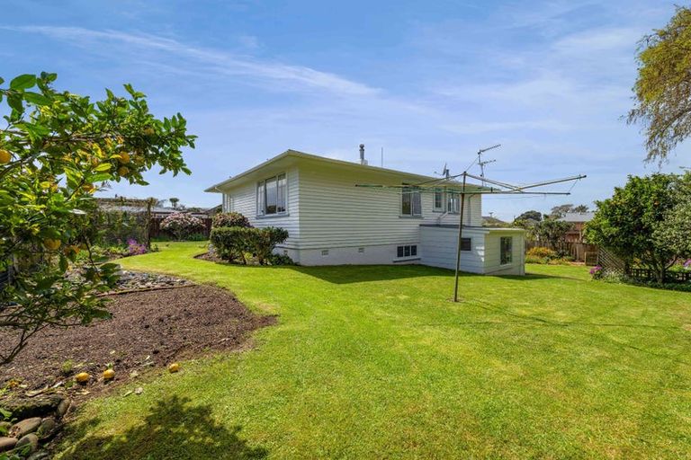 Photo of property in 14a Trafalgar Street, Westown, New Plymouth, 4310