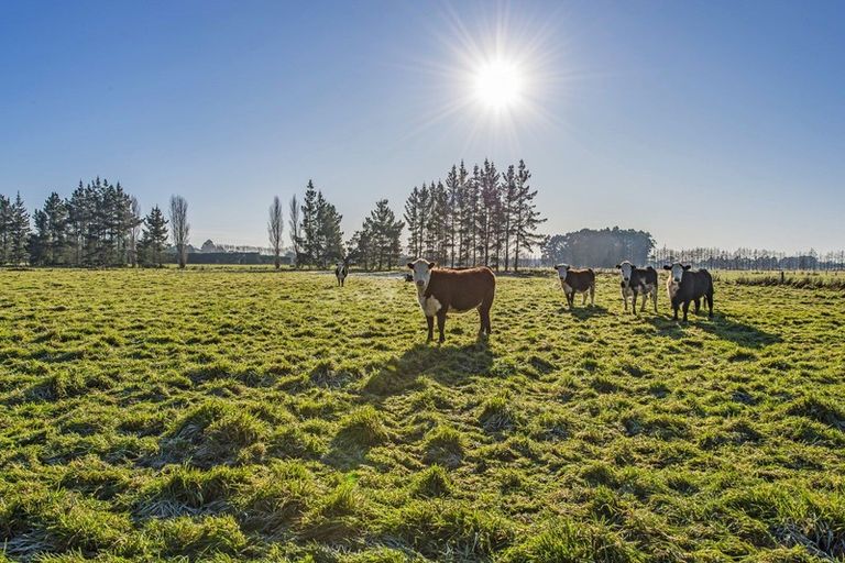 Photo of property in 12 Bramleys Road, Flaxton, Kaiapoi, 7691