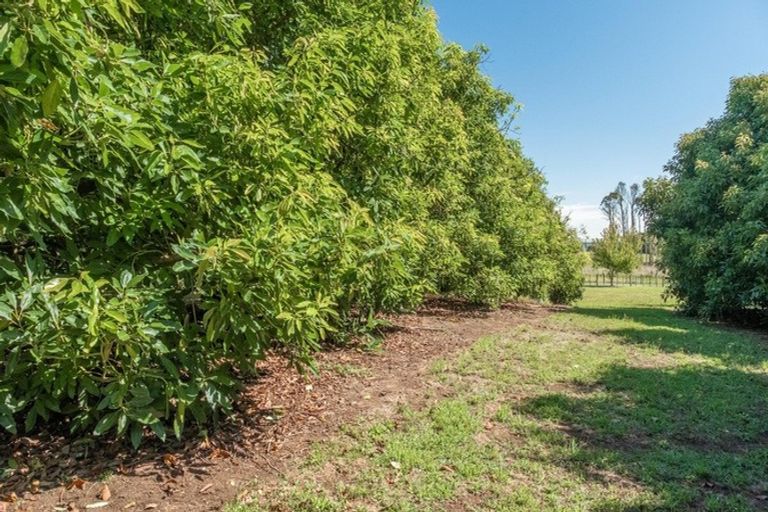 Photo of property in 30c Thompsons Track, Aongatete, Katikati, 3178