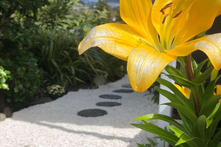 Photo of property in 50a Ocean Beach Road, Tairua, 3508