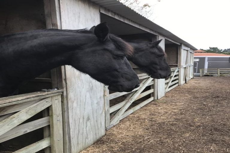 Photo of property in 73 Valerie Close, Warkworth, 0983