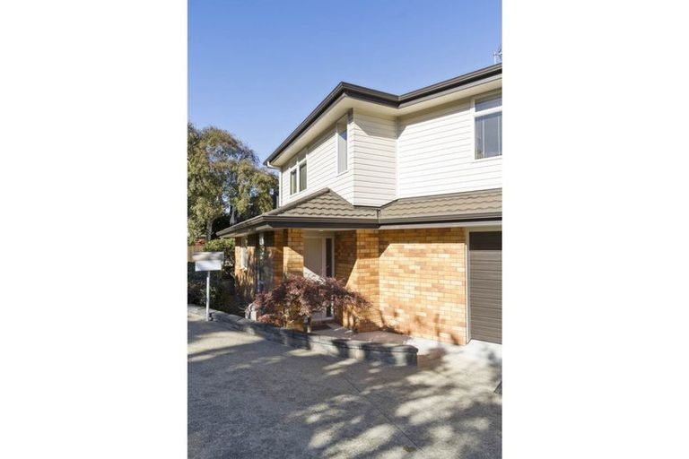 Photo of property in 82f Landscape Road, Mount Eden, Auckland, 1024
