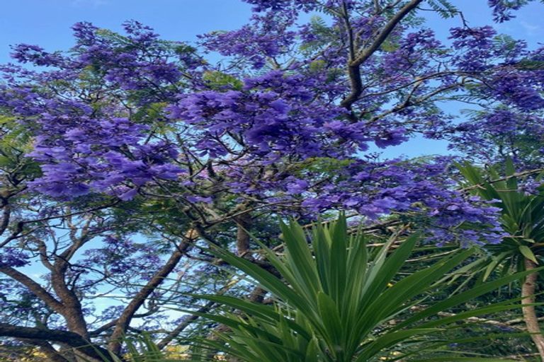 Photo of property in 1765 Kohumaru Road, Peria, Kaitaia, 0482