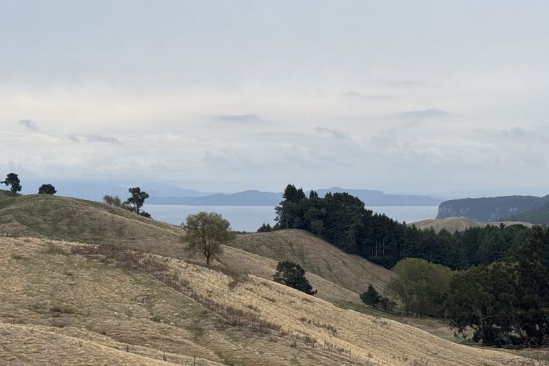 Photo of property in 10 Olsen Place, Kinloch, 3385