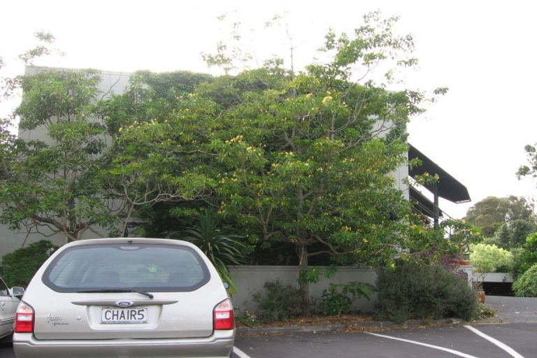 Photo of property in 8f Arotau Place, Grafton, Auckland, 1023