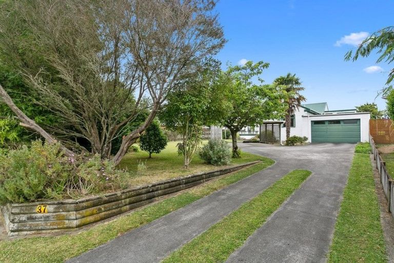 Photo of property in 37 Clothier Street, Putaruru, 3411