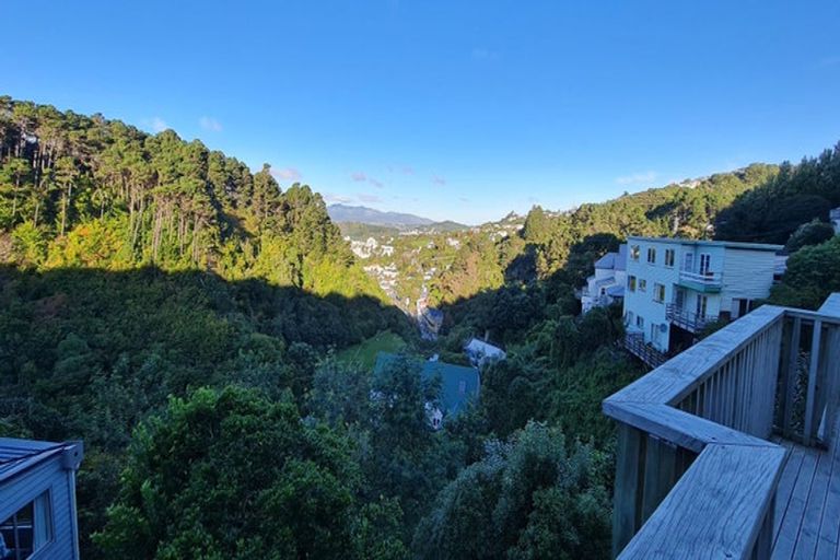 Photo of property in 129 Raroa Road, Aro Valley, Wellington, 6012