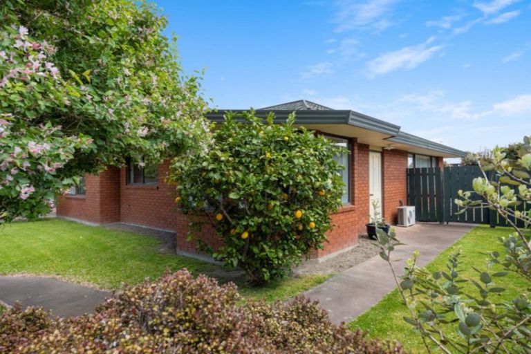 Photo of property in 33 Adams Lane, Springlands, Blenheim, 7201