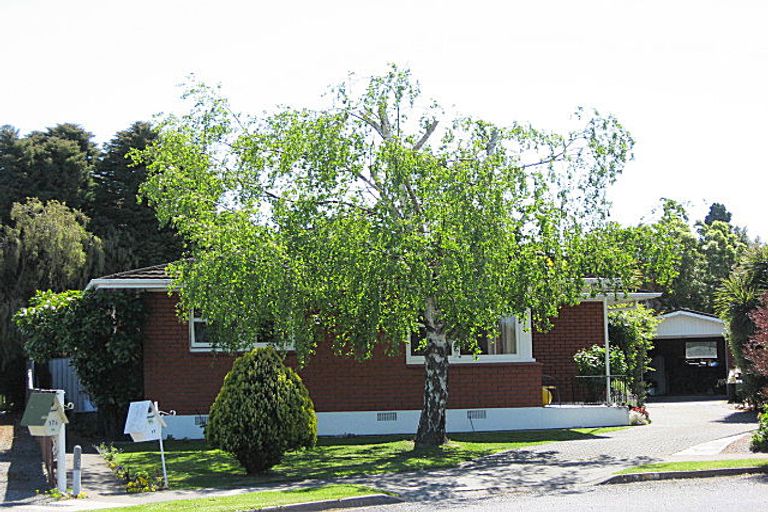 Photo of property in 17 Newbourne Crescent, Redwoodtown, Blenheim, 7201