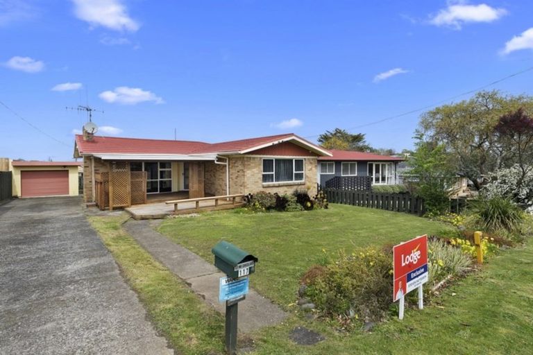 Photo of property in 117 Mahoe Street, Melville, Hamilton, 3206