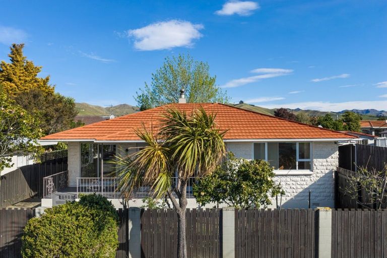 Photo of property in 5 Allen Street, Redwoodtown, Blenheim, 7201