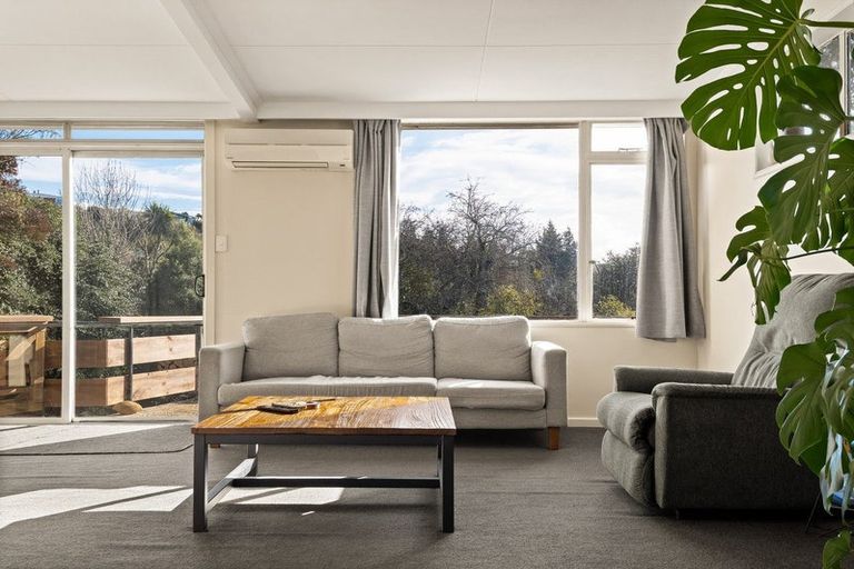 Photo of property in 163 Sidey Street, Calton Hill, Dunedin, 9012