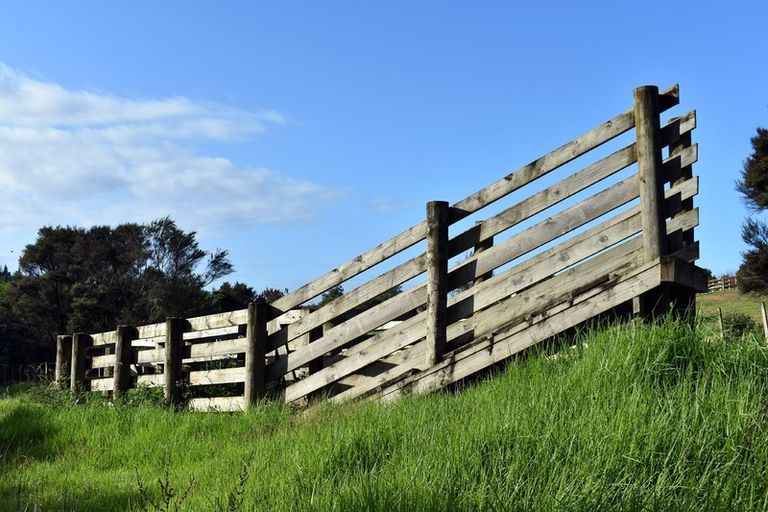 Photo of property in 53 De Boer Lane, Mangawhai, Kaiwaka, 0573
