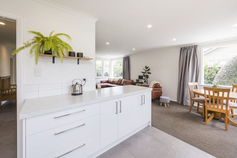 Photo of property in 53 Guy Avenue, Takaro, Palmerston North, 4410