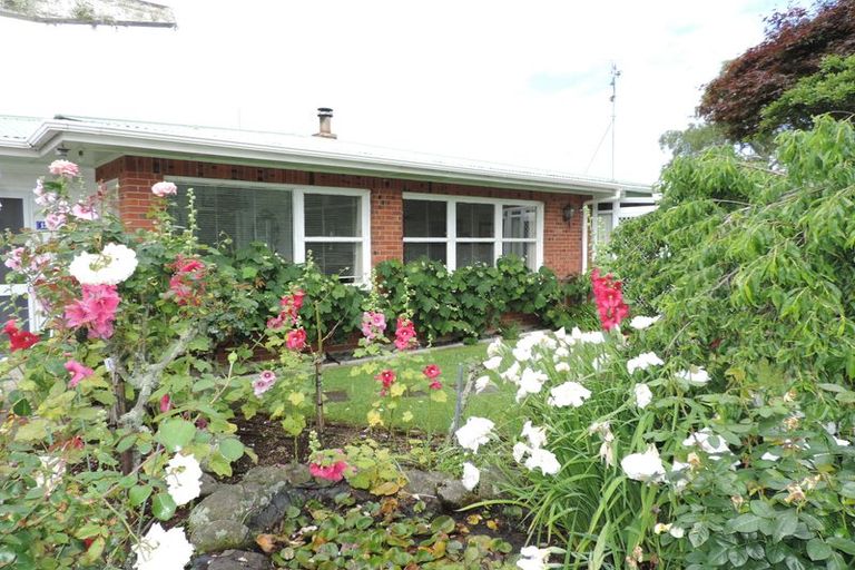Photo of property in 12 Rata Street, Matamata, 3400