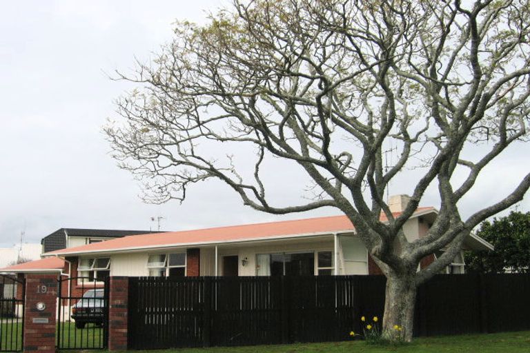 Photo of property in 19 Woods Avenue, Matua, Tauranga, 3110