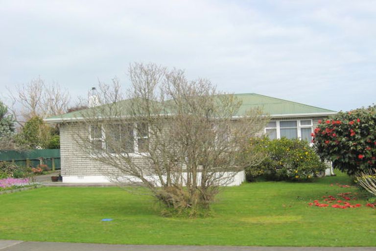 Photo of property in 3 Read Street, Levin, 5510