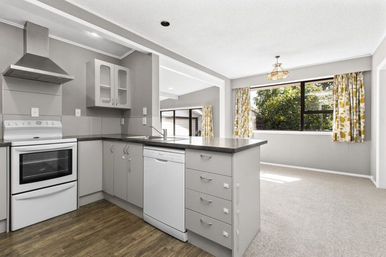 Photo of property in 4 Winstone Avenue, Chartwell, Hamilton, 3210