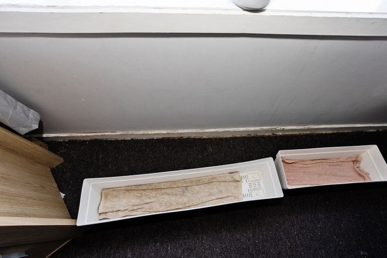 Photo of property in 130 Janet Street, Appleby, Invercargill, 9812