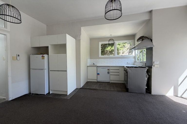 Photo of property in 29 Durham Street, Aro Valley, Wellington, 6021