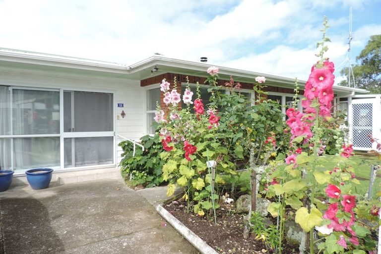 Photo of property in 12 Rata Street, Matamata, 3400