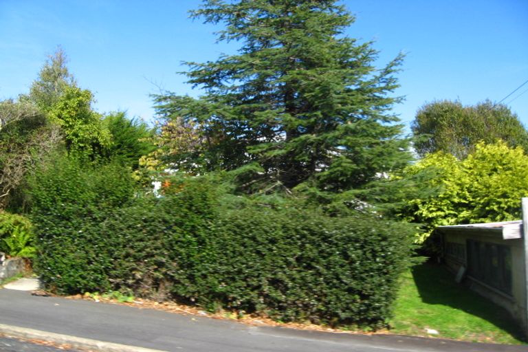 Photo of property in 34 Mechanic Street, North East Valley, Dunedin, 9010