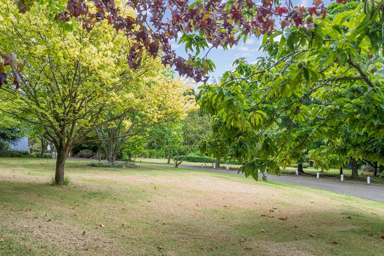 Photo of property in 165 Valley Road, Waimauku, 0881
