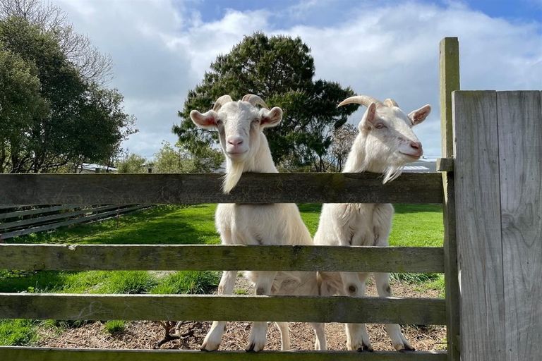 Photo of property in 16 Coronation Street, Waimate, 7924