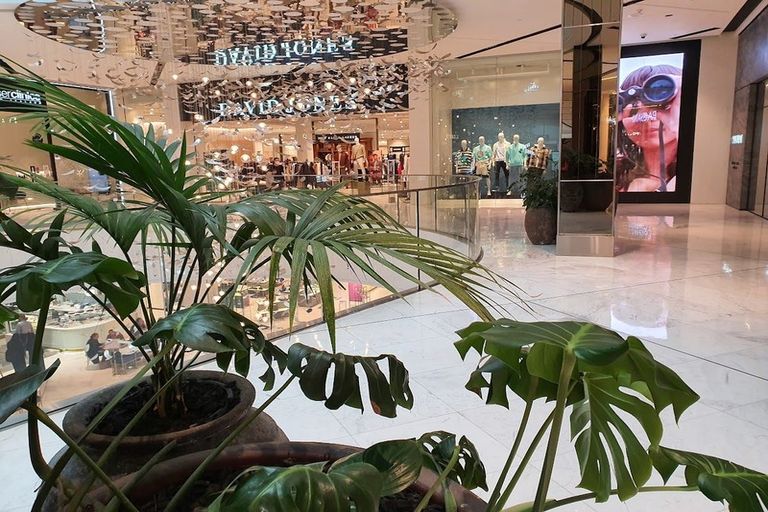 Photo of property in 19/68 Remuera Road, Remuera, Auckland, 1050