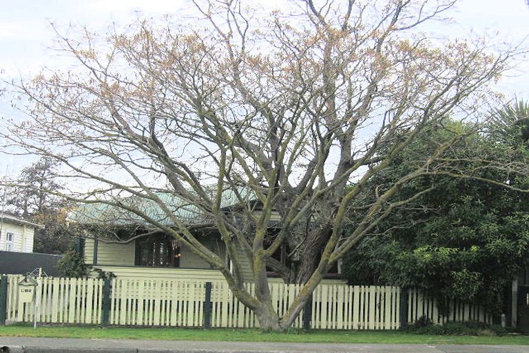 Photo of property in 915 Nelson Street North, Mahora, Hastings, 4120