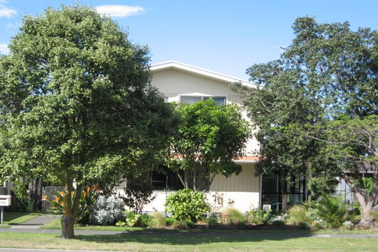 Photo of property in 88 Anzac Street, Gisborne, 4010