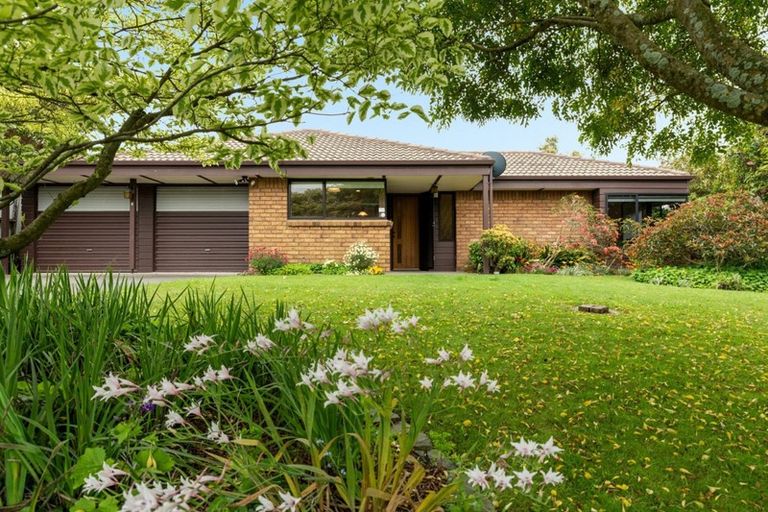 Photo of property in 3 Winchester Terrace, Bethlehem, Tauranga, 3110