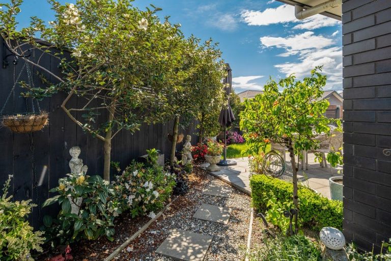 Photo of property in 9 Korari Grove, Redwoodtown, Blenheim, 7201