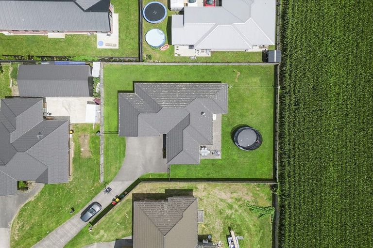 Photo of property in 11 Birchwood Lane, Matamata, 3400